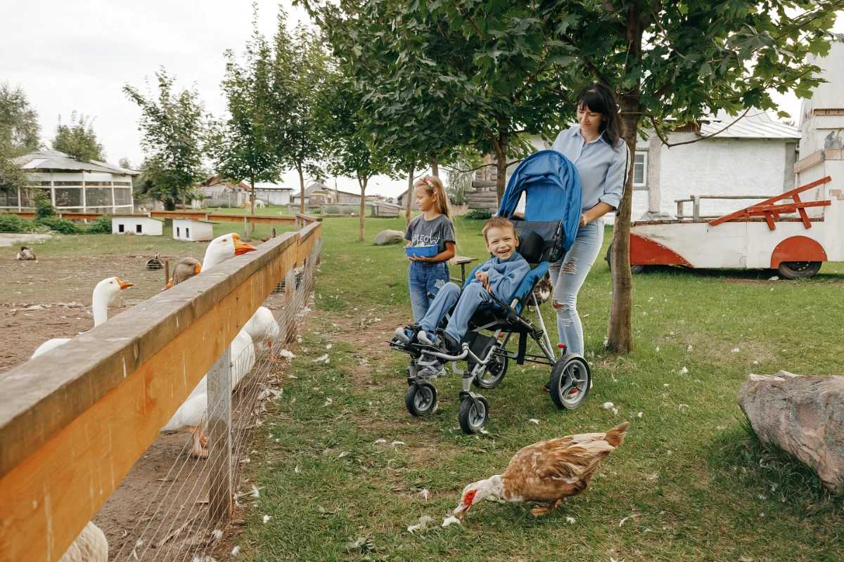 Детские инвалидные коляски: как выбрать подходящую модель Детские инвалидные коляски: как выбрать подходящую модель